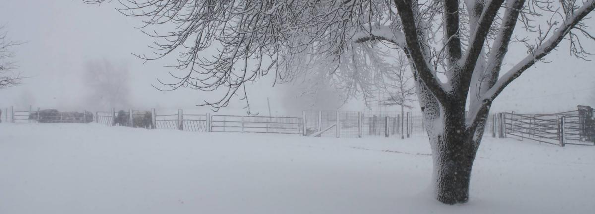 Snow storm on farm