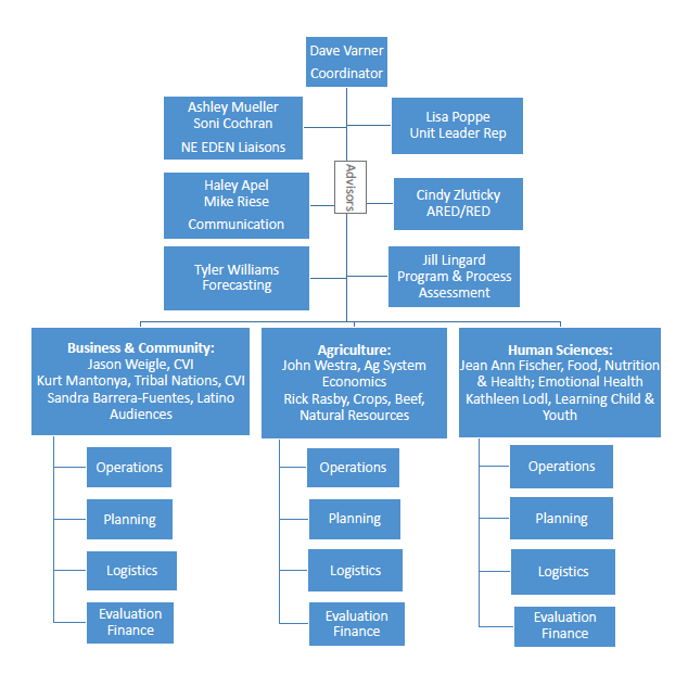 team structure