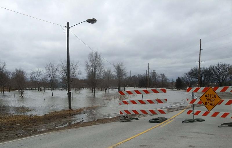 Floods and Trees: Helping Your Trees Recover