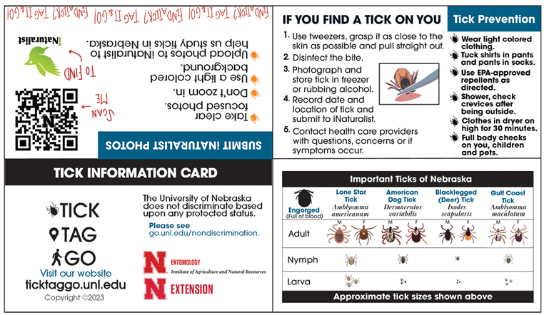Tick Information Card