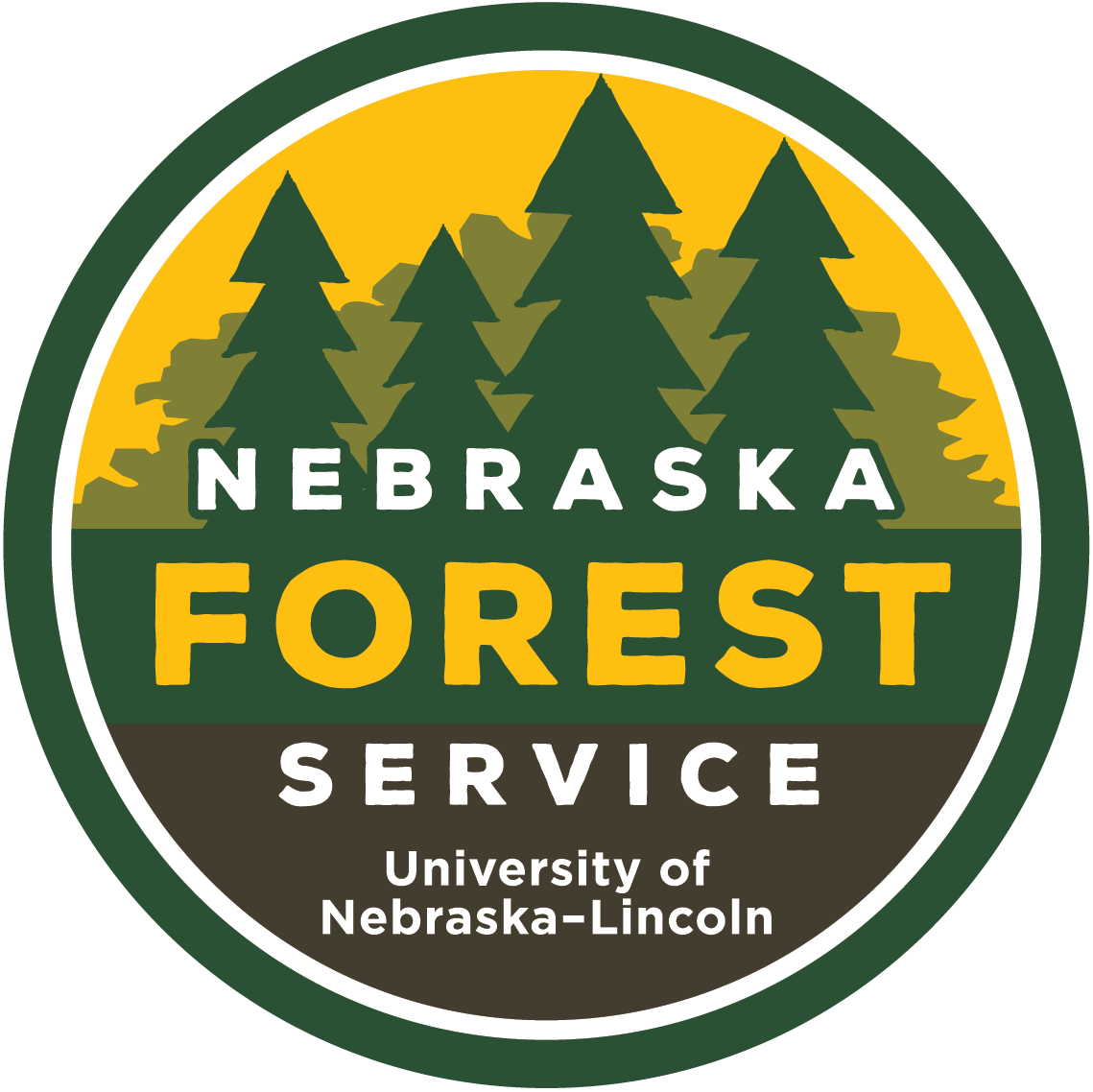 NFS Logo.